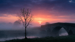 A technológia serdülőkora