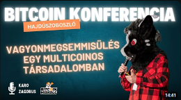 Vagyonmegsemmisülés egy multicoinos társadalomban