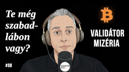 Te még szabadlábon vagy? | Validátor mizéria