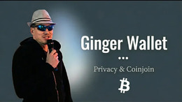 Miért fontos a pénzügyi privacy? – Ginger Wallet & Coinjoin bemutató Miért fontos a pénzügyi privacy? – Ginger Wallet & Coinjoin bemutató